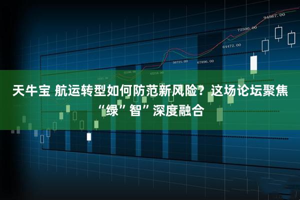 天牛宝 航运转型如何防范新风险？这场论坛聚焦“绿”智”深度融合