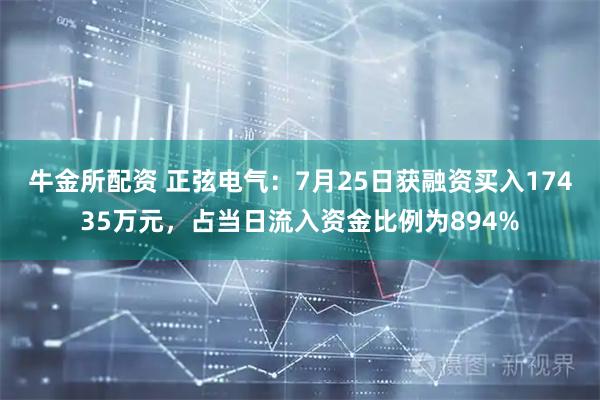 牛金所配资 正弦电气:7月25日获融资买入17435万元,占当日流入资金比例为894%