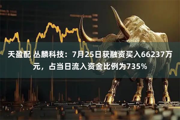 天盈配 丛麟科技:7月25日获融资买入66237万元,占当日流入资金比例为735%