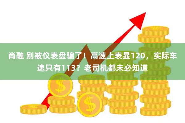 尚融 别被仪表盘骗了！高速上表显120，实际车速只有113？老司机都未必知道