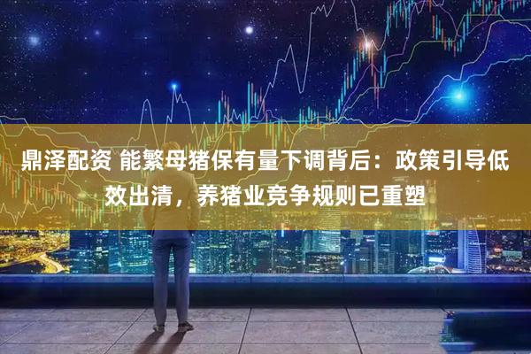 鼎泽配资 能繁母猪保有量下调背后：政策引导低效出清，养猪业竞争规则已重塑